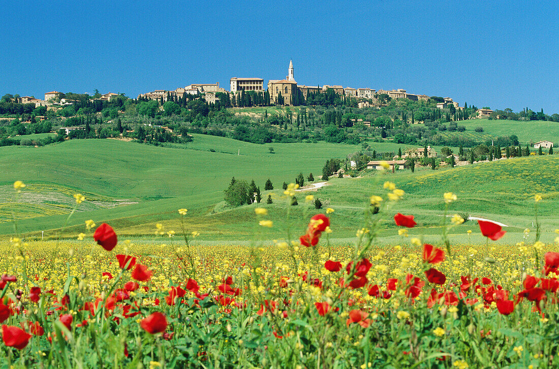 View of Pienza (Unesco World Heritage) with rape and poppies field. Val d Orcia. Siena province. Tuscany. Italy.