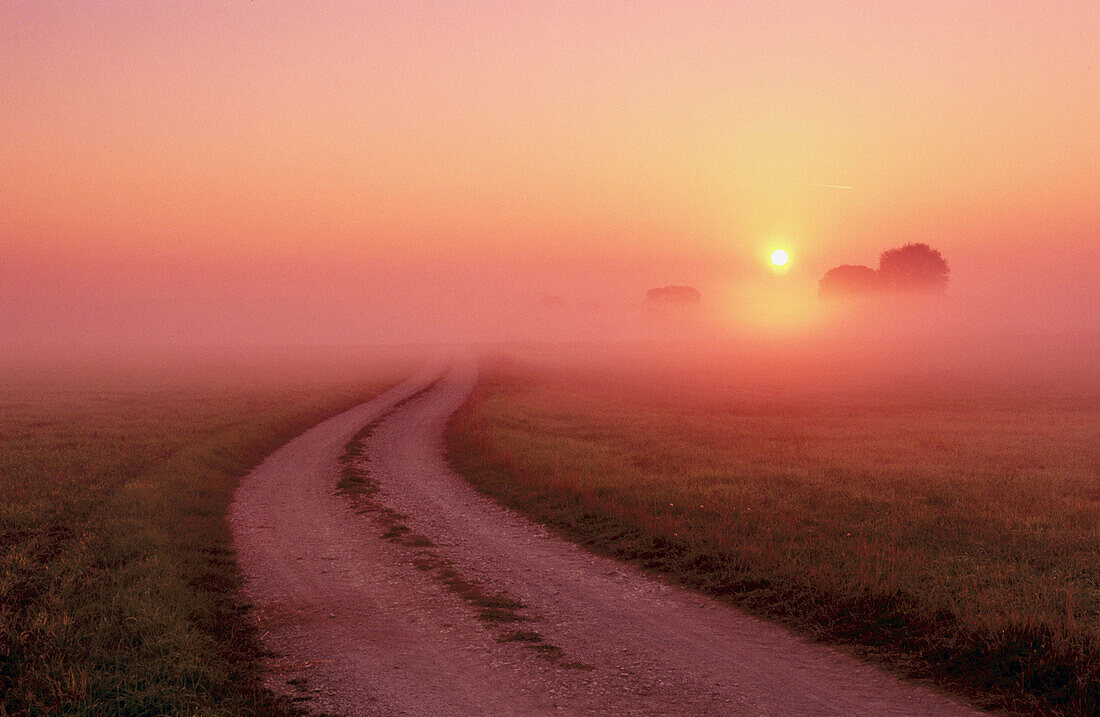 Small road at morning mood with morning fog. Franconia. Bavaria. Germany.