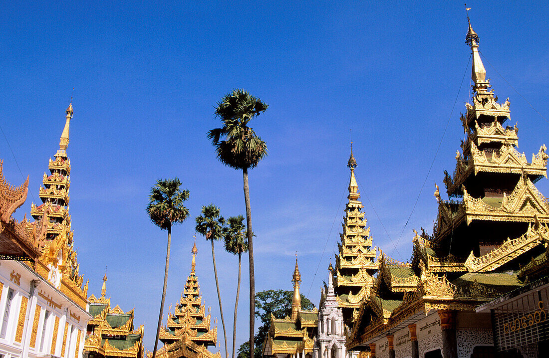 Shwe Dagon Pagoda. Yangon. Myanmar (Burma)