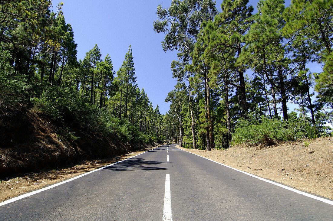 Road to Mount Teide (Pico de Teide), Tenerife. Canary Islands, Spain