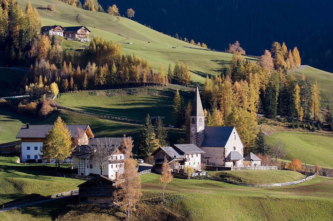 St Maddalena, Val di Funes. Trentino-Alto Adige, Dolomites, South Tyrol, Italy