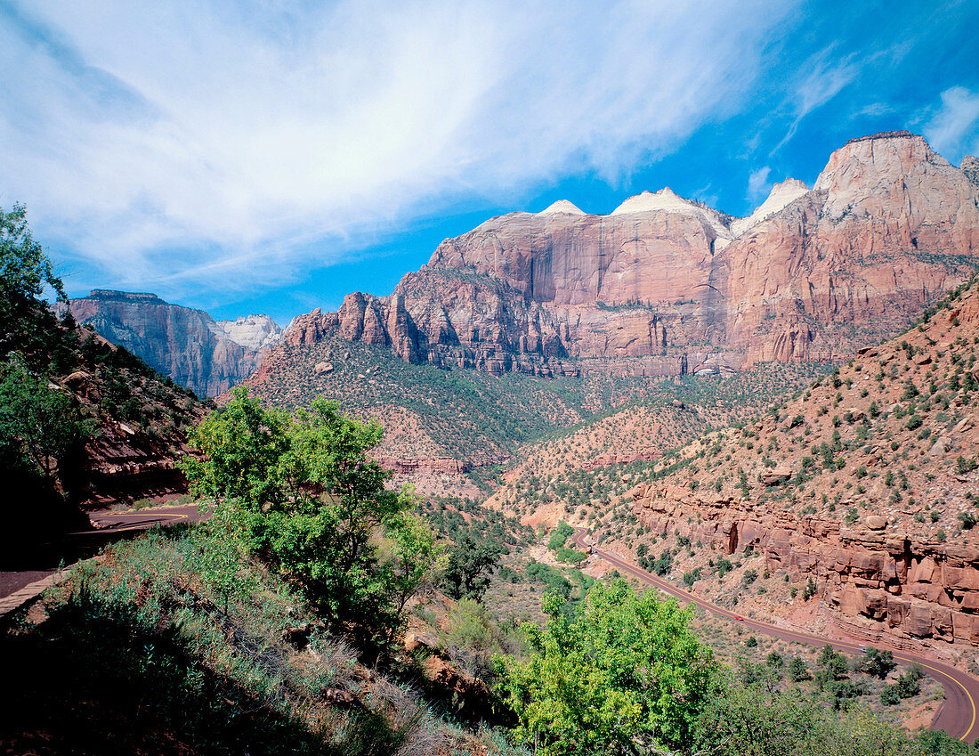 Red cliffs because of iron and magnesium sandstone. Zion National Park. Utah. USA