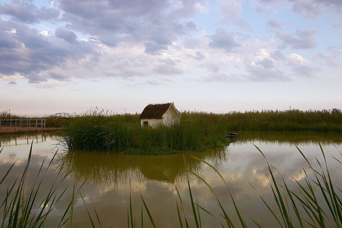 Ebro River delta Natural Park. Tarragona province, Catalonia, Spain