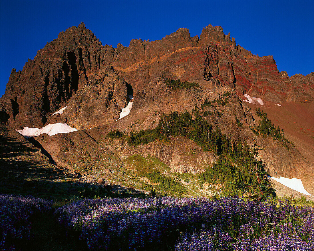 Three Fingered Jack. Mount Jefferson wilderness. Oregon. USA