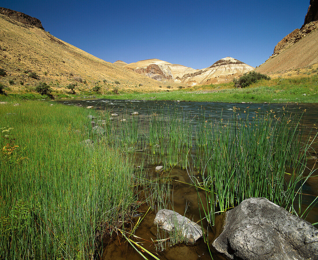 Owyhee River Canyon near Birch Creek Ranch. Owyhee Breaks. Oregon. USA