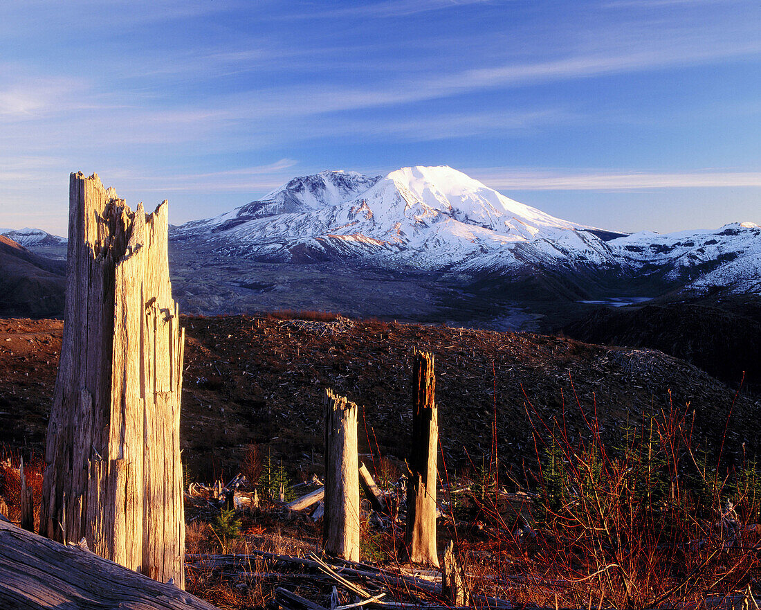 Mount St. Helens National Volcanic Monument. Washington. USA