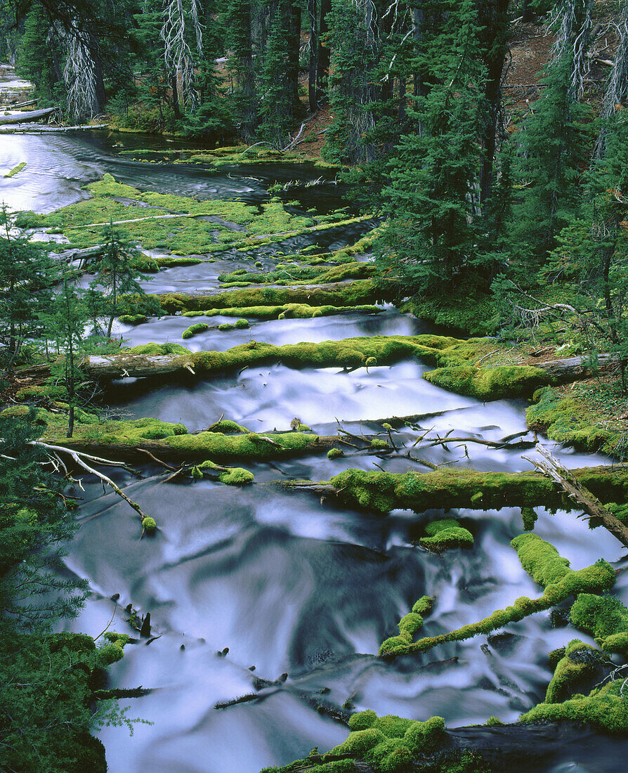 Headwaters of the Rogue River. Crater Lake National Park. Oregon. USA
