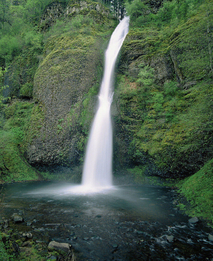 Horsetail falls (morning May). Columbia River Gorge NSA. Oregon. USA