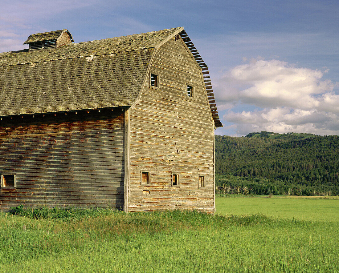 Barn on a June morning. Teton County. Idaho. USA