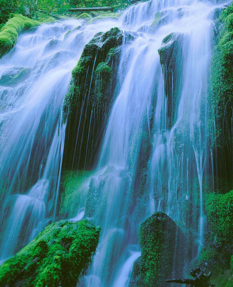 Proxy Falls, Three Sisters Wilderness, Willamette National Forest. Oregon, USA