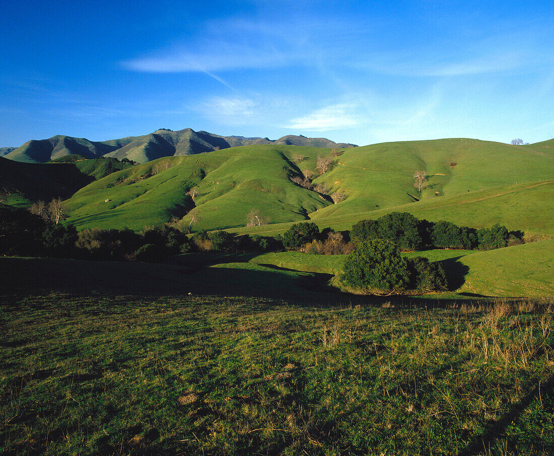 Santa Lucia mountain range with late afternoon light in January. San Luis Obispo county. California. USA