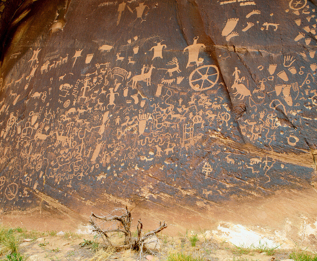 Petroglyphs, Anasazi culture. Newspaper Rock State Historic Park. Utah. USA