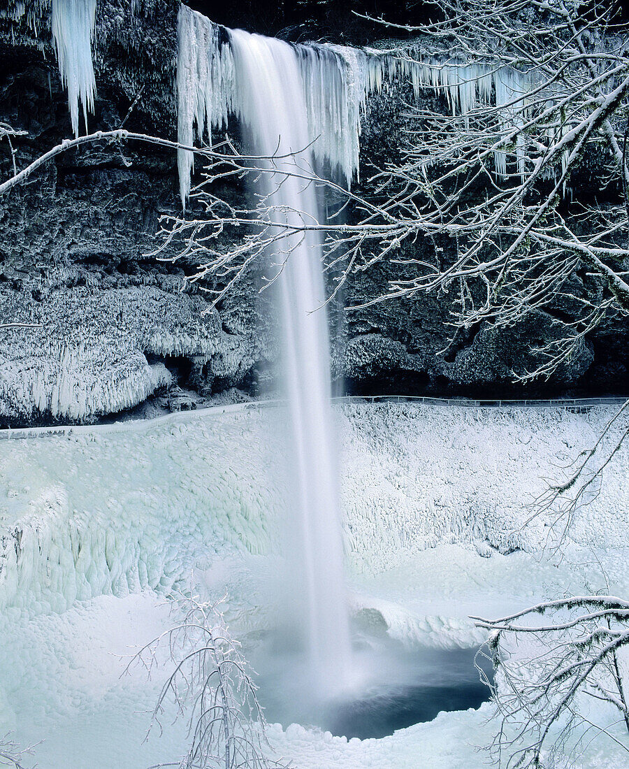 Ice covered South Falls. Silver Falls State Park. Marion County. Oregon. USA