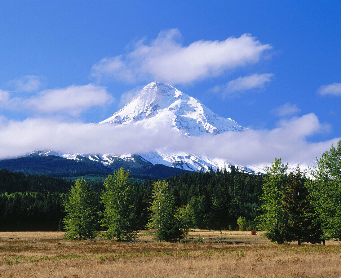 Mt. Hood from Upper Hood River Valley. Hood river county. Oregon. USA.