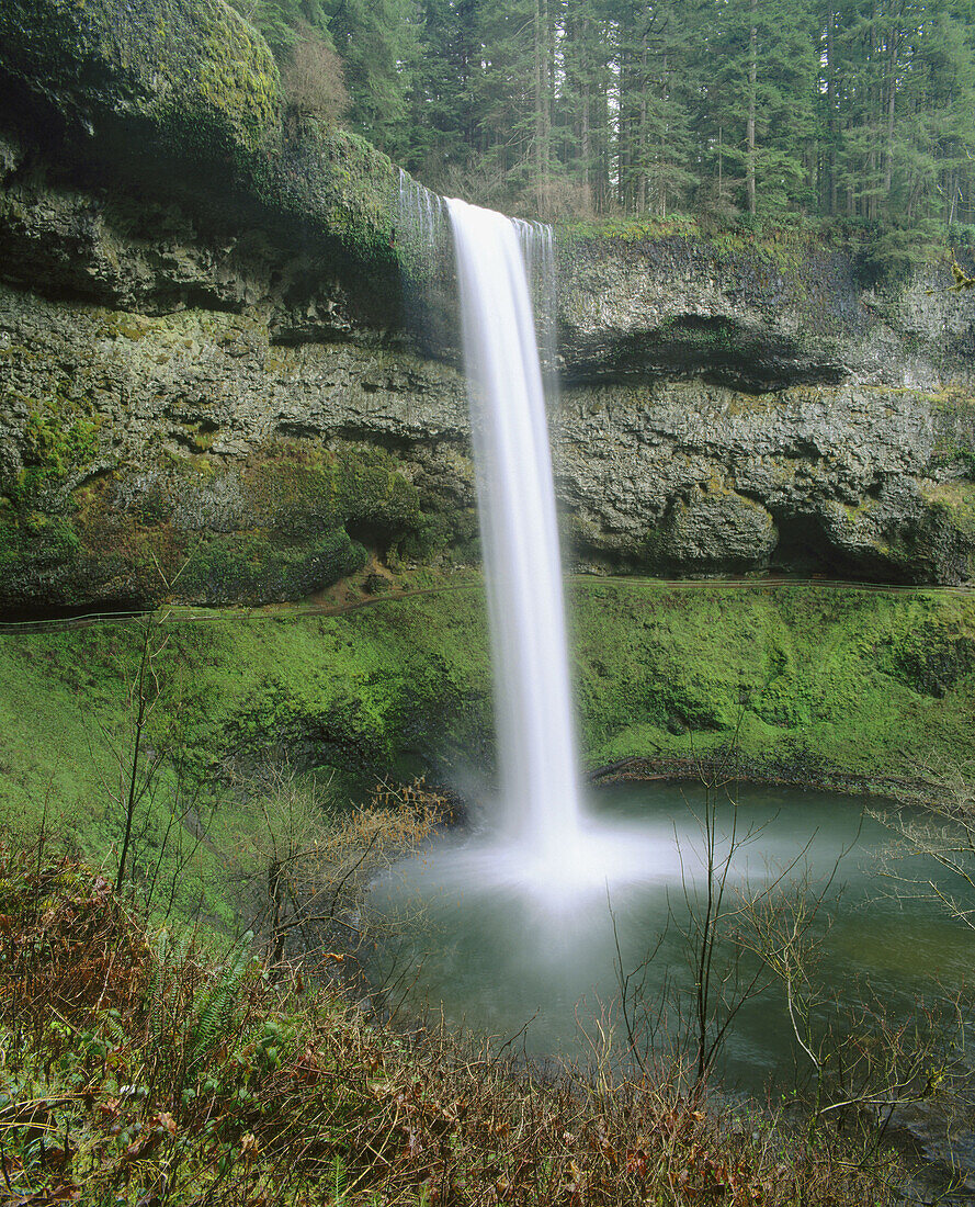 South Falls flows over lava. Silver Falls State Park. Oregon. USA