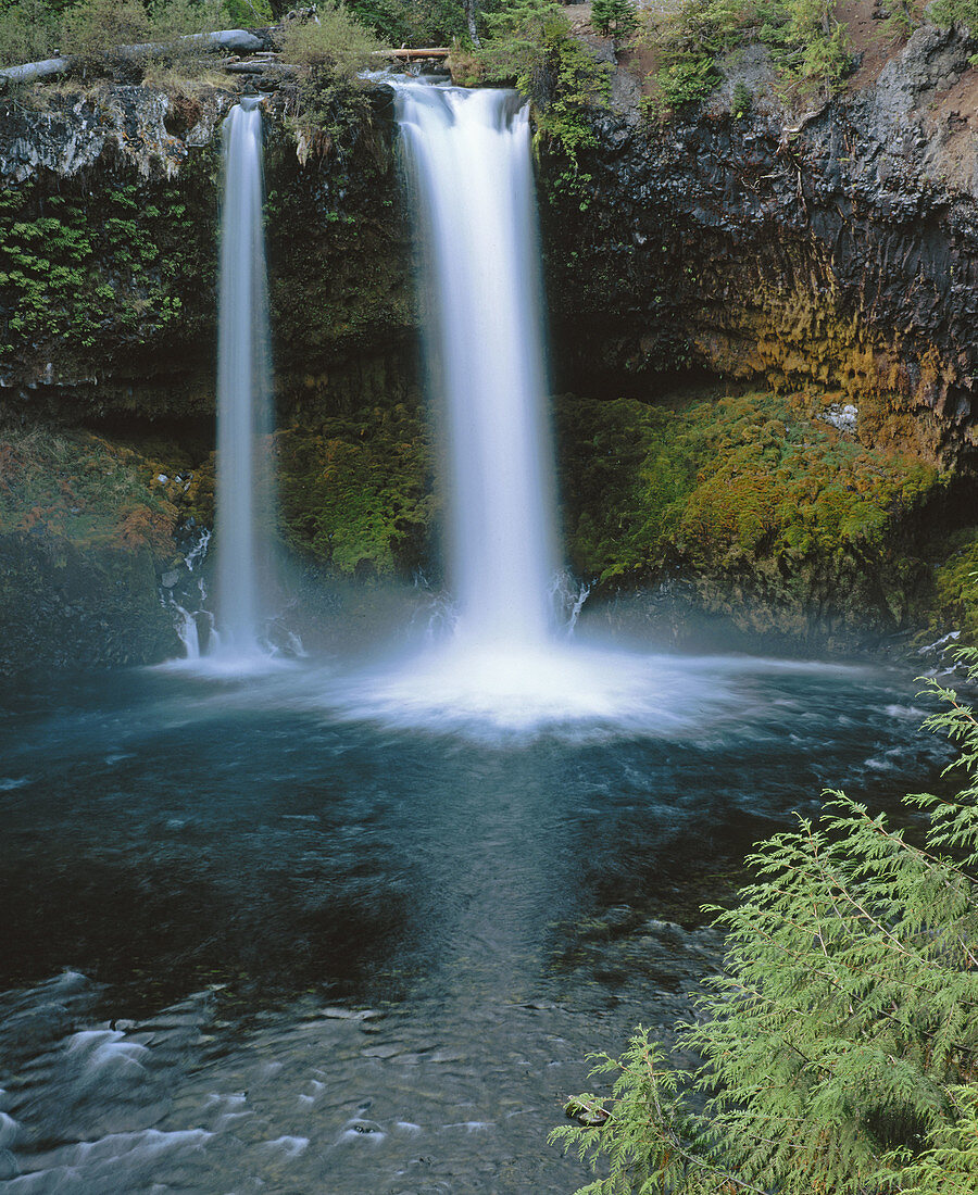 Koosah Falls, McKenzie River. Willamette National Forest. Linn County. Oregon. USA.