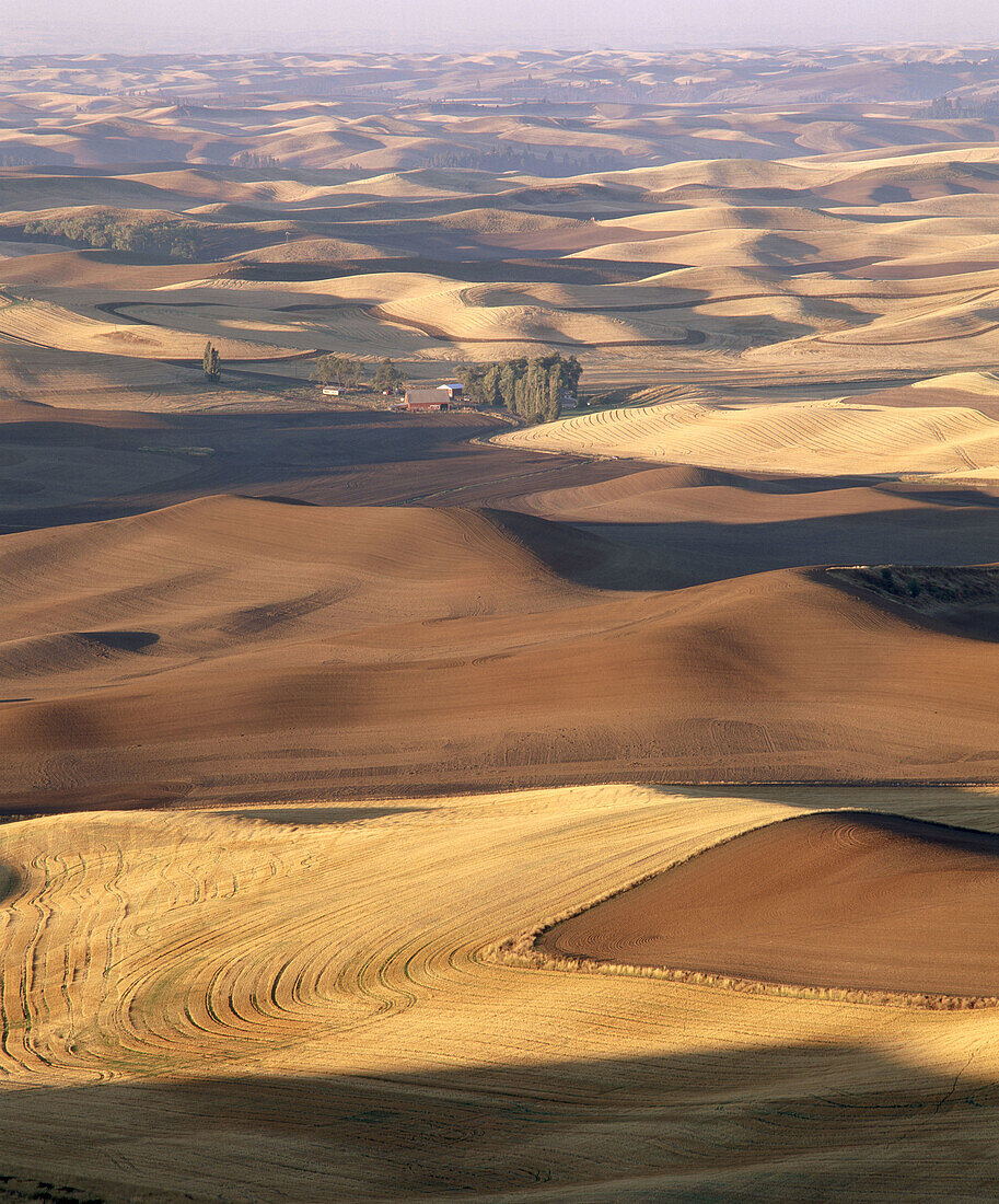 Sunlight and shadows on harvested wheat fields from Steptoe Butte, Palouse region. Whitman County, Eastern Washington. USA