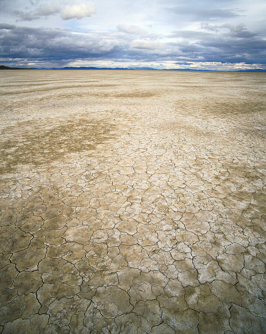 Black Rock Desert playa. Humboldt County, Nevada. USA