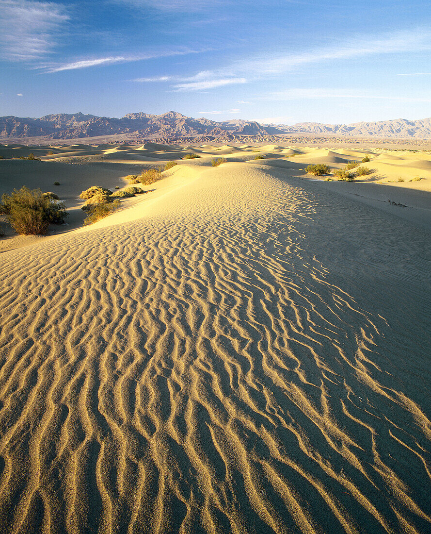 Sand dunes at Stovepipe Wells, Death Valley National Park. Inyo County, California. USA