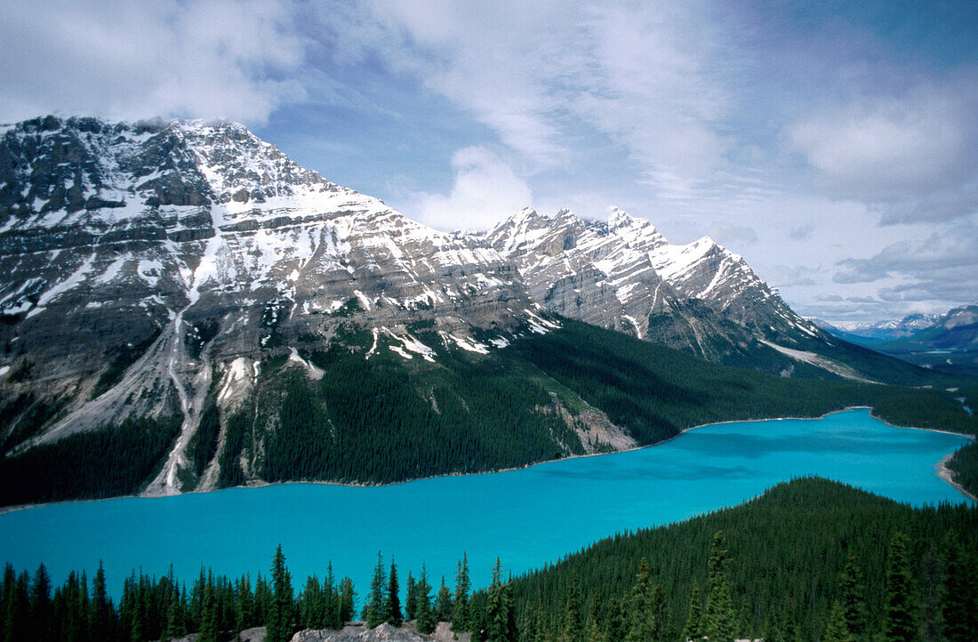 Peyto Lake. Banff NP. Canada