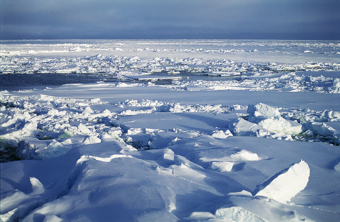 Ice formations generated by collision of ice plates. Weddell Sea. Antarctica