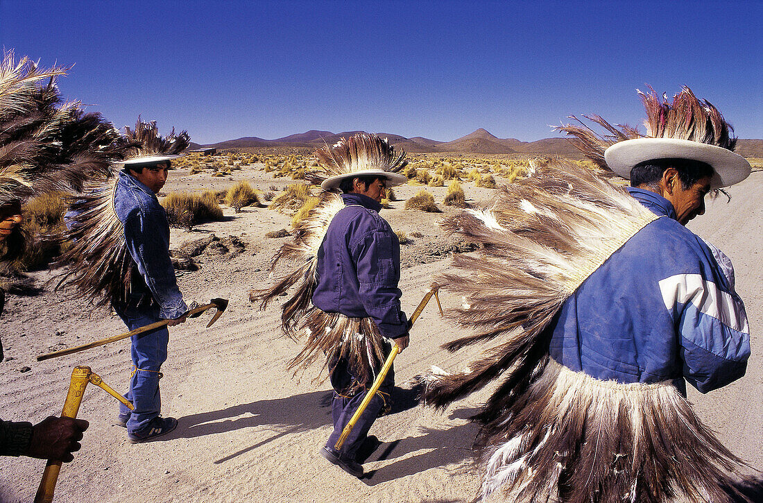 The Samilantes of Casabindo, in plumed dresses, dancing to welcome the inhabitants of the neighbour villages. Casabindo. Jujuy province. Argentina