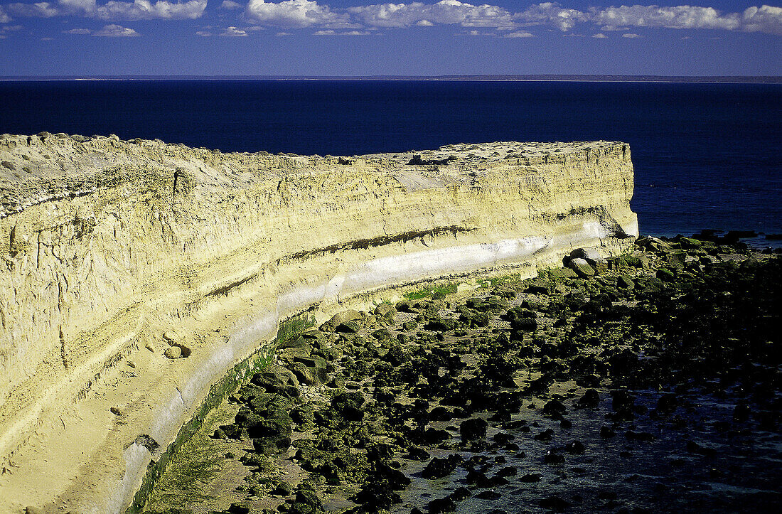 Punta Buenos Aires. Valdés Peninsula. Chubut province. Argentina