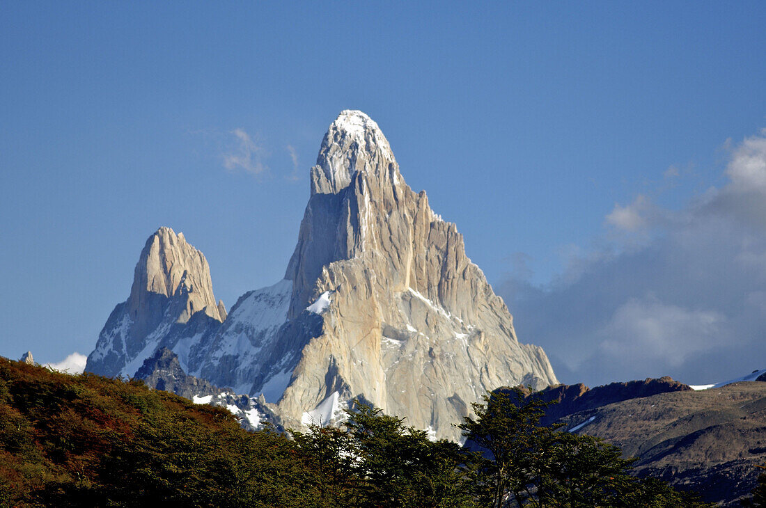 Lenga (Nothofagus pumilio) forest. Fitz Roy. Patagonia. Argentina.