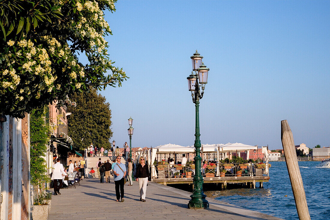 Restaurant, Zattere, Venedig, Venetien, Italien