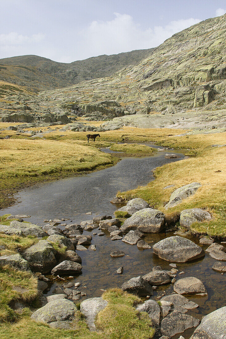 Arroyo de Prado Pozas en la subida al circo de Gredos. Castilla-León, Spain