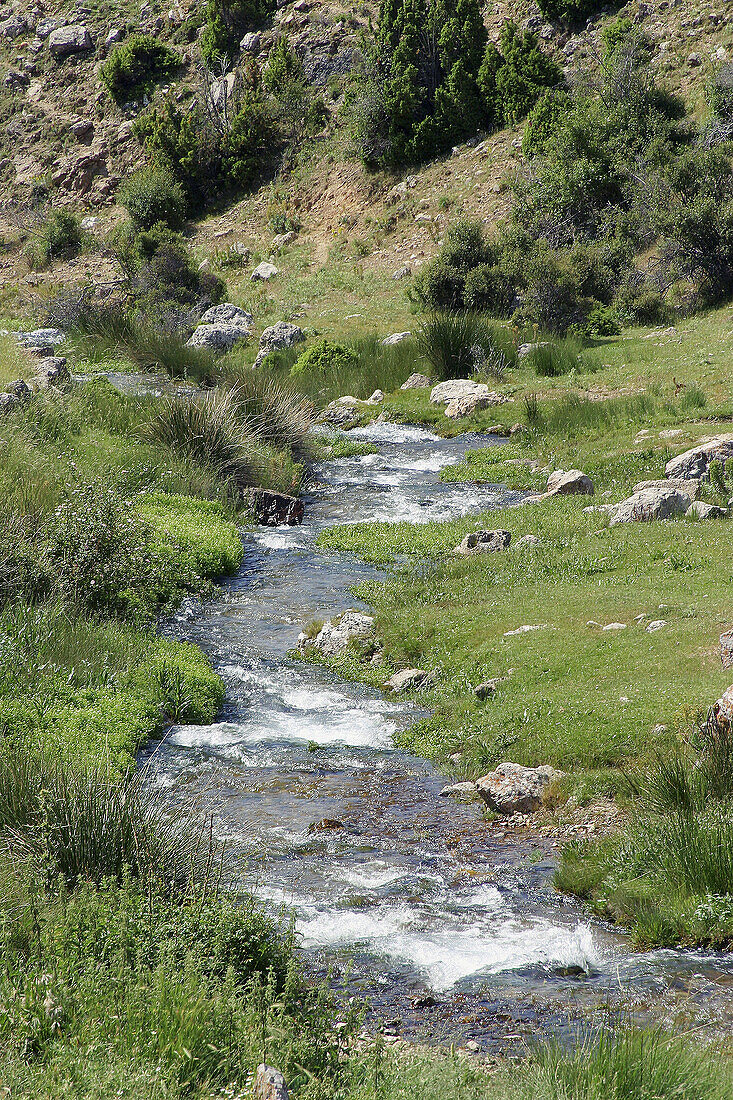 Sources of Arcos river, Arcos de las Salinas. Teruel province, Aragón, Spain