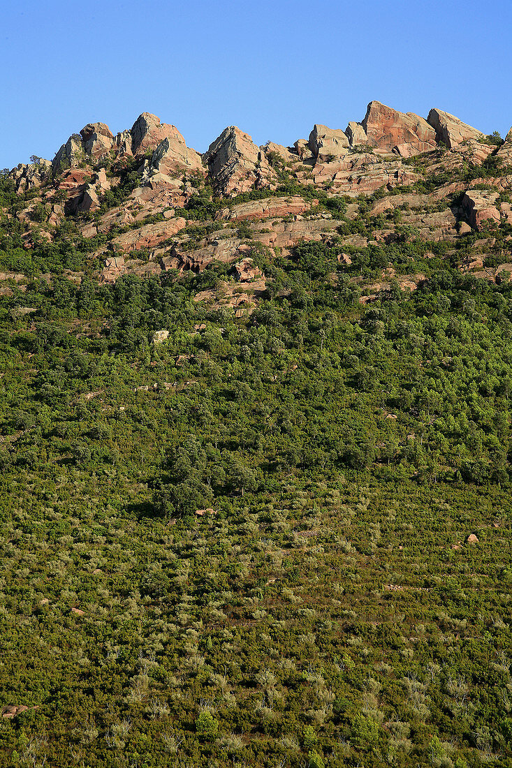 Les Agulles de Santa Águeda. Desert de Les Palmes Natural Park. Castellon Province. Comunidad Valenciana. Spain