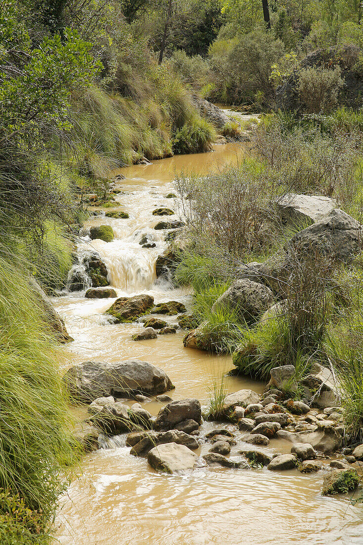 Borosa river. Parque Natural de Cazorla. Jaén province. Spain