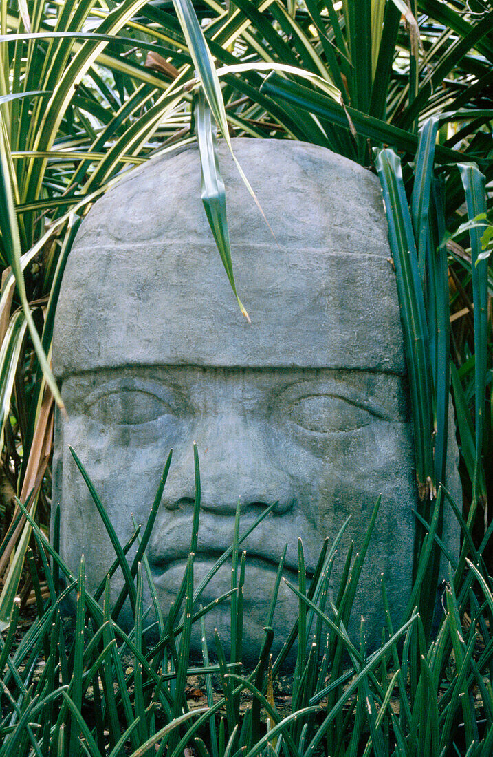 Olmec head in Chankanaab Natural Park. Cozumel Island. Quintana Roo. Mexico