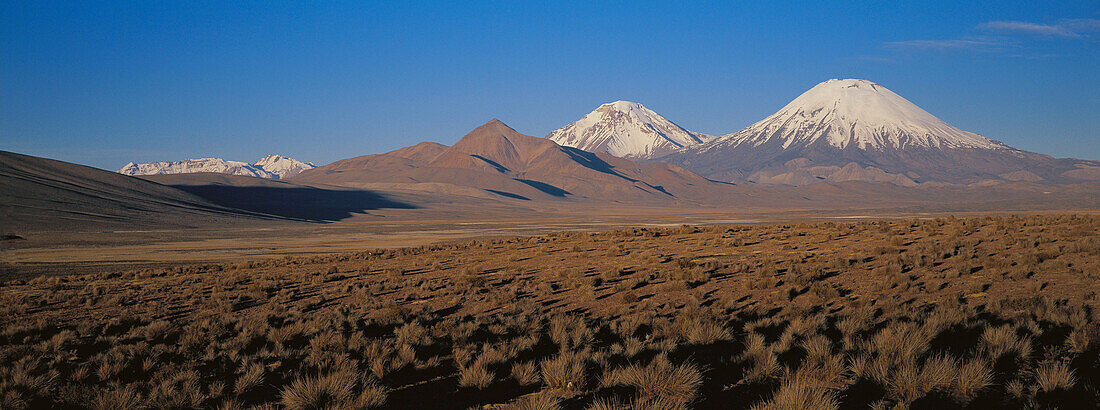 Parinacota and Pomerape Volcanoes. Lauca National Park. Chile