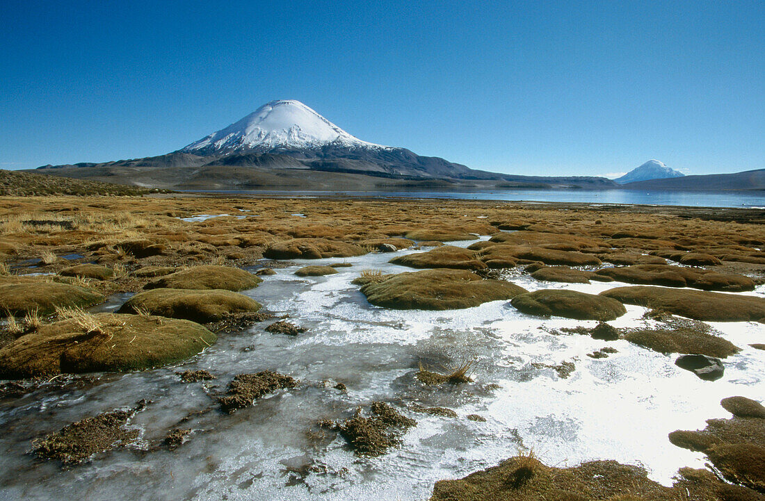Chungara lake and Parinacota volcano. Lauca National Park. Chile