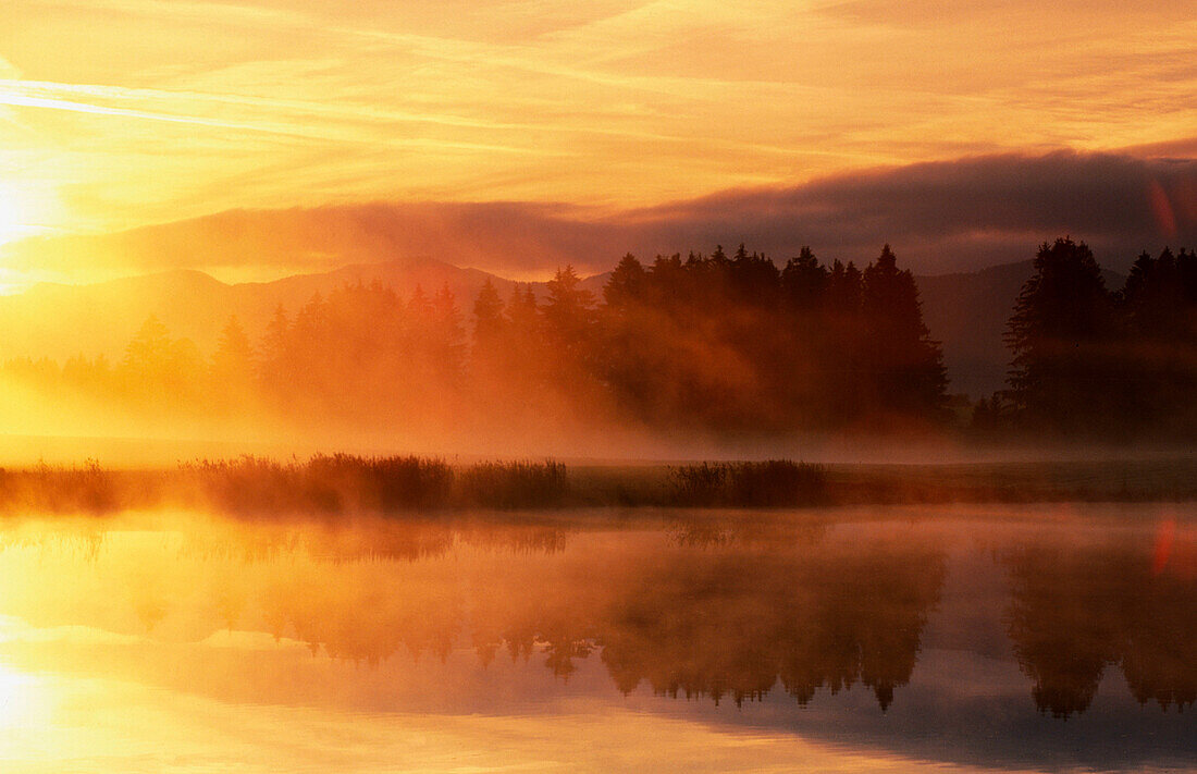  Aussen, Außen, Baum, Bäume, Berg, Berge, Farbe, Gelb, Horizontal, Konzept, Konzepte, Landschaft, Landschaften, Orange, Reflektion, Reflektionen, See, Seen, Silhouette, Silhouetten, Spezialeffekte, Spiegelbild, Spiegelbilder, Spiegelung, Tageszeit, Unscha