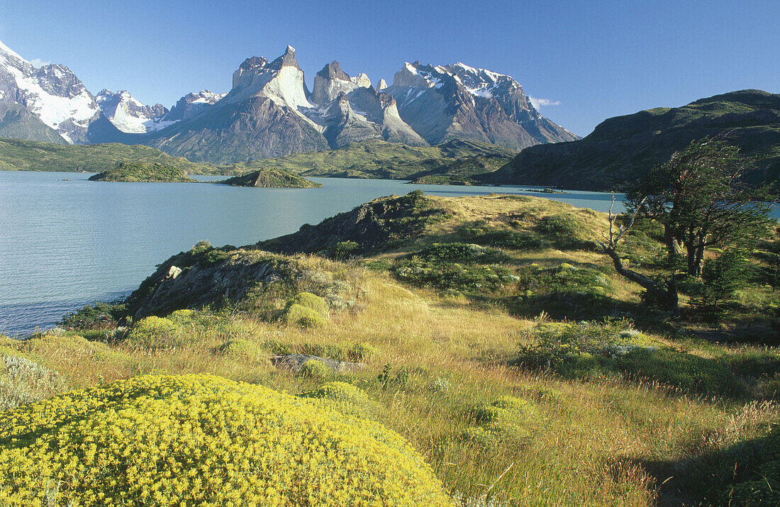 Cuernos del Paine and Pehoe Lake. Torres del Paine National Park. Patagonia. Chile