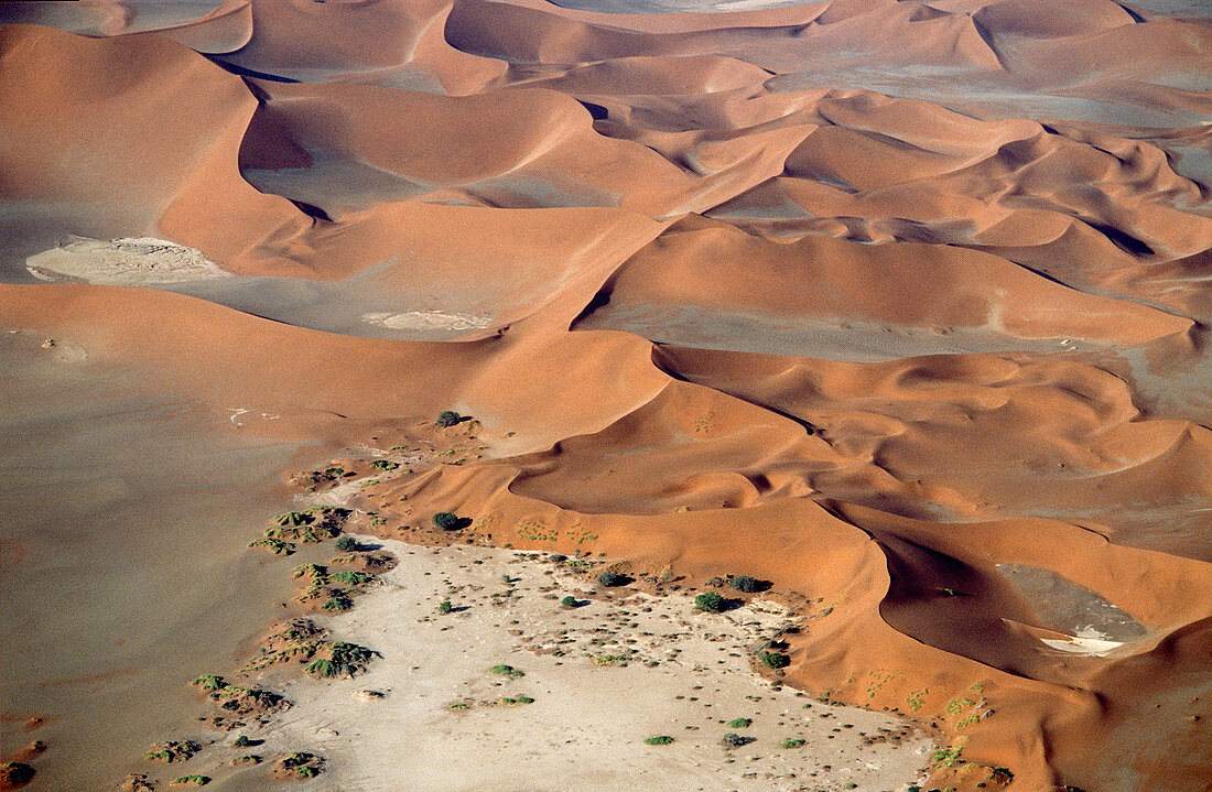 Sand Dune, Sossusvlei. Namib-Naukluft National Park. Namibia