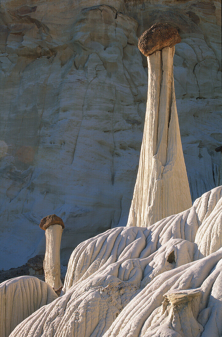 Stone formation, Wahweap Hoodoos. Valley of the White Ghosts, Utah, USA
