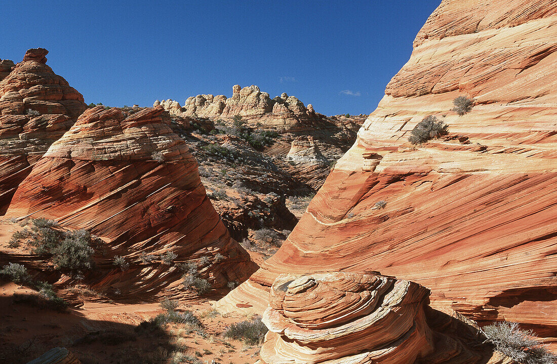 Sandstone formations. Paria Canyon Vermilion Cliffs Wilderness Area, Arizona, USA