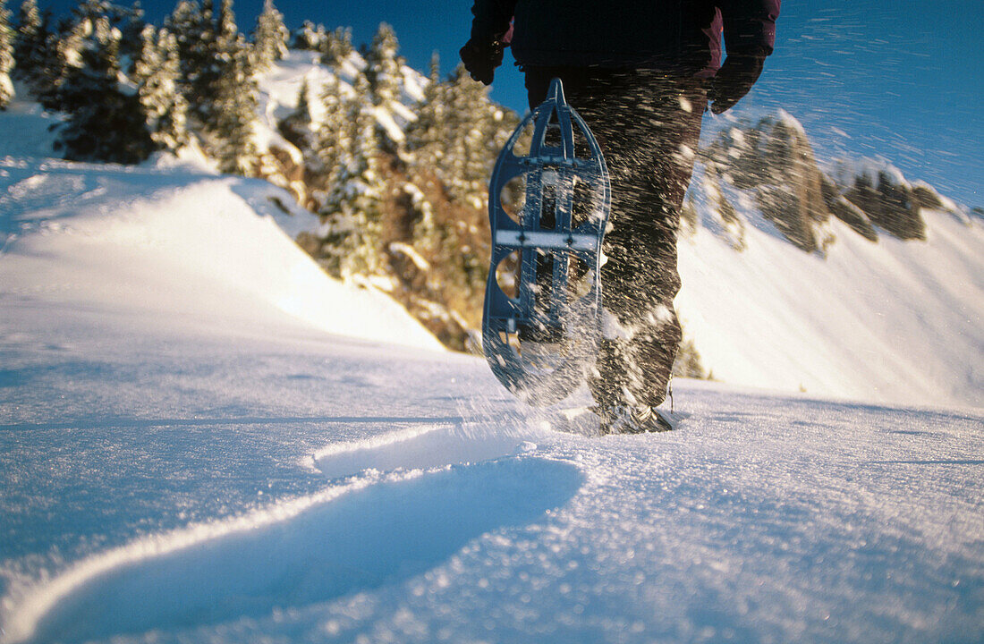 Snow shoes hiking. Alps. Germany