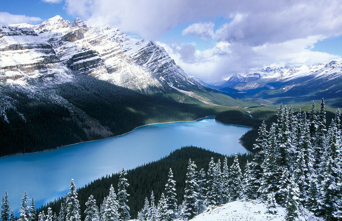 Peyto Lake and Rocky Mountains, Banff Narional Park. Alberta, Canada