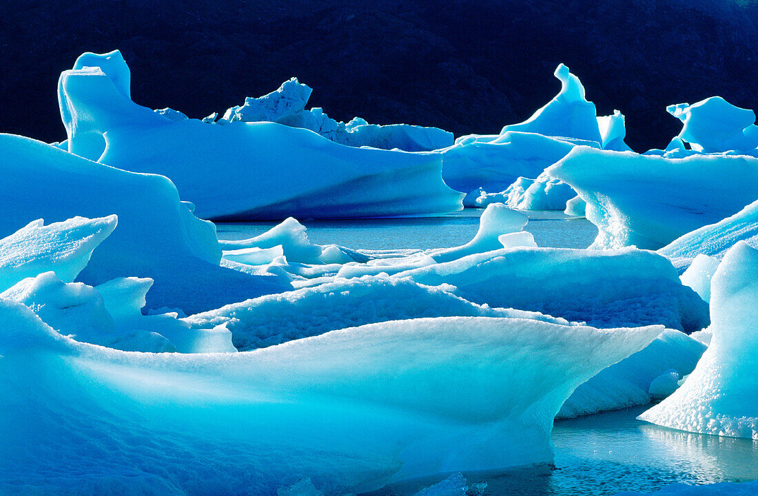 Grey Glacier. Torres del Paine National Park. Patagonia. Chile