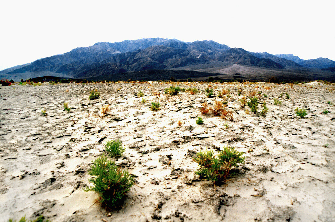  Arid, Aridity, Barren, Color, Colour, Daytime, Deserted, Desolate, Desolation, Dried, Dry, Ecosystem, Ecosystems, Exterior, Horizontal, Landscape, Landscapes, Mountain, Mountains, Nature, Nobody, Outdoor, Outdoors, Outside, Remote, Scenic, Scenics, J87-3
