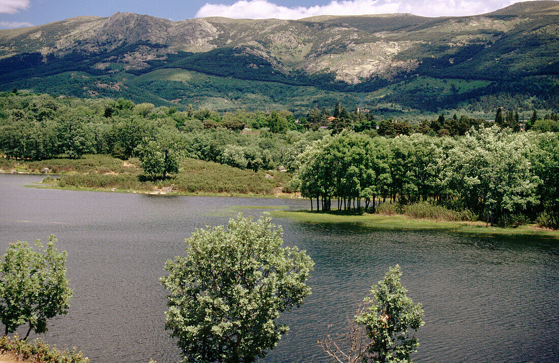Reservoir de la Oliva and River Eresma. Segovia province. Castilla y Leon. Spain