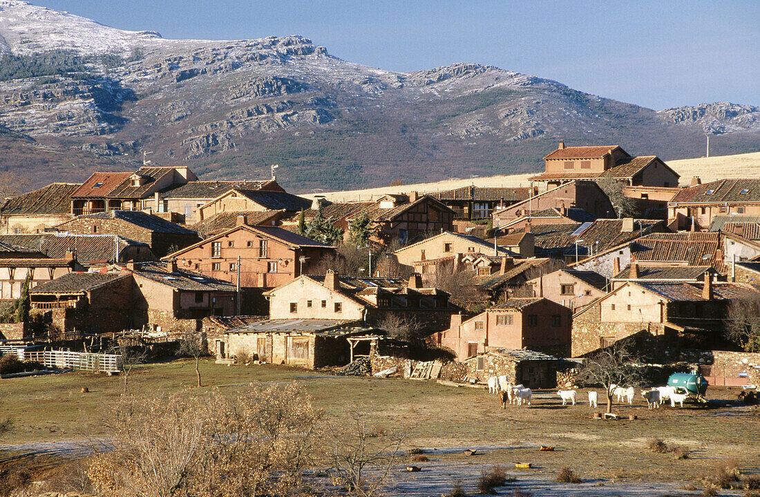 Overview of Madriguera with Ayllon mountain range at background. Segovia province. Spain