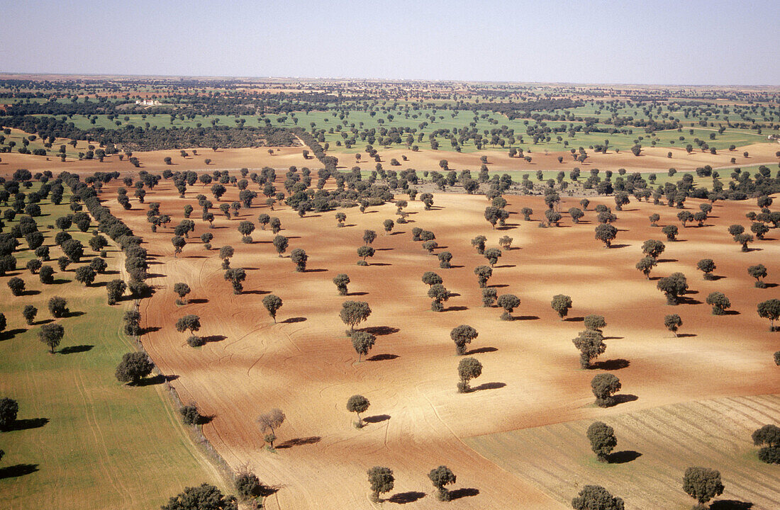 Aerial view of fields in Toledo. Castilla-La Mancha. Spain