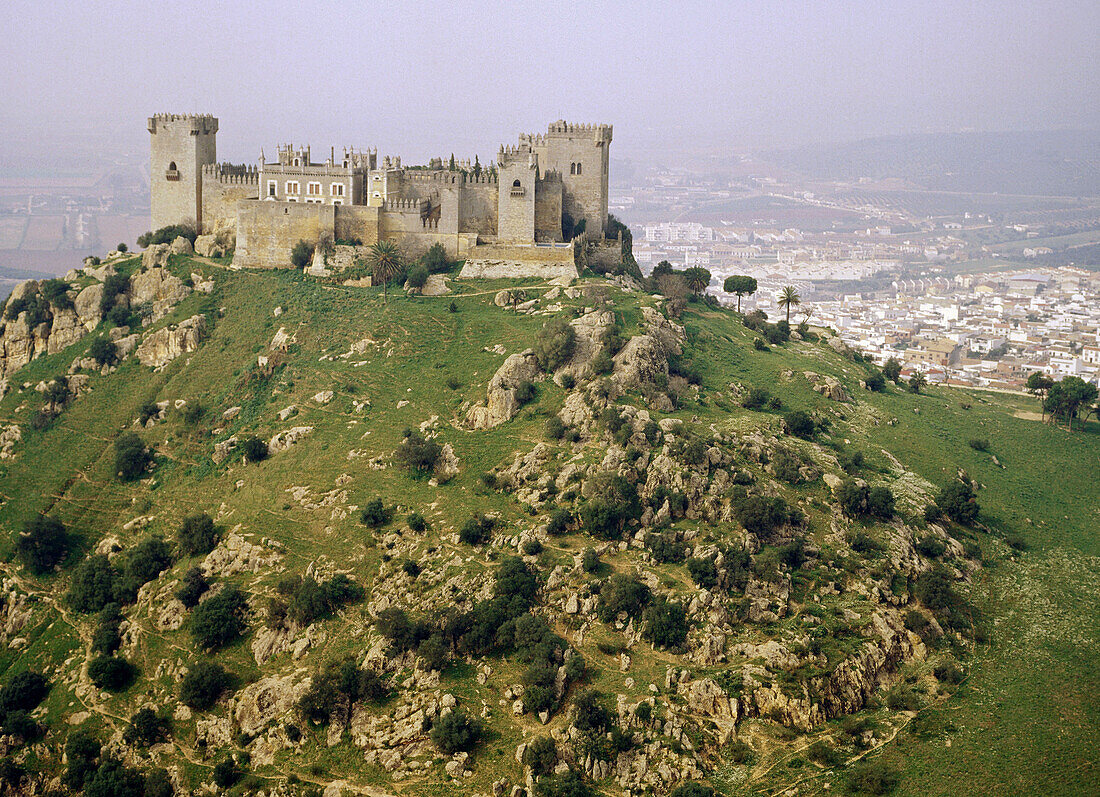 Castle in Almodovar del Rio. Cordoba province. Andalusia. Spain