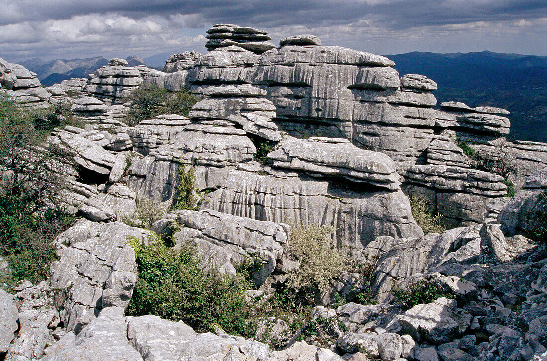 Erosion working on Jurassic limestones. Natural park of Torcal de Antequera. Antequera. Málaga province. Andalucia. Spain